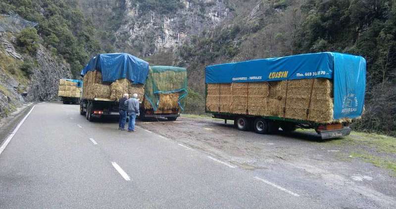 camiones-vidosa-desfiladero-beyos