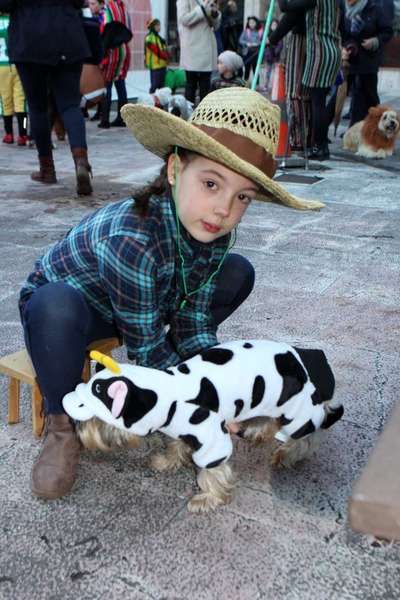 carnaval-mascotas-cangas