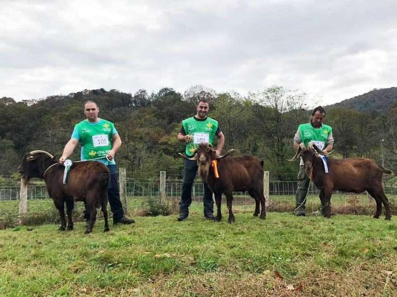 castrones-acriber-corao