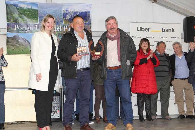 cazo-ponga-angazu-oro