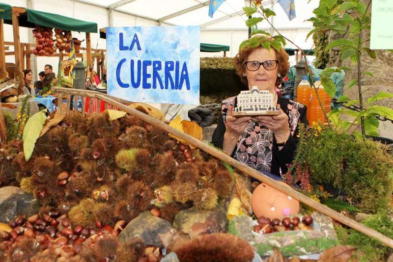 hortensina-casta&ntilde;a-arriondas