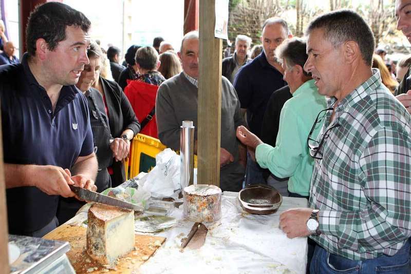 gamon&eacute;u-onis-remis