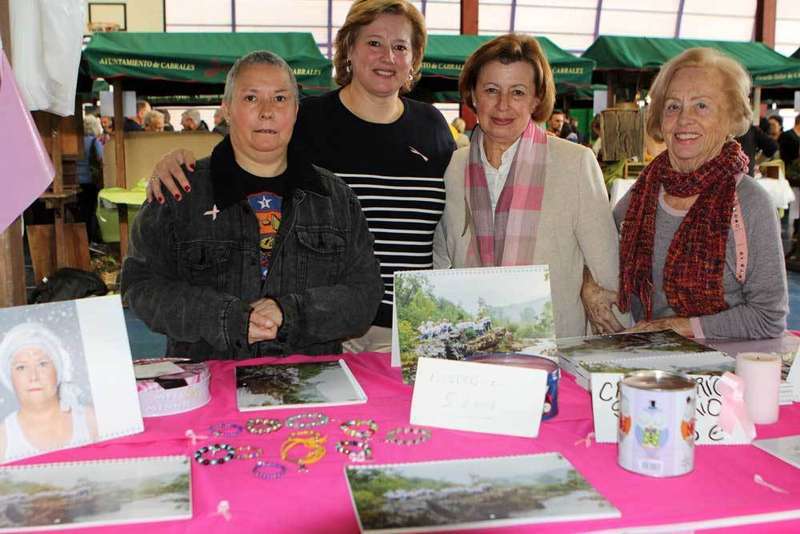 rosa-palo-gamoneu-onis