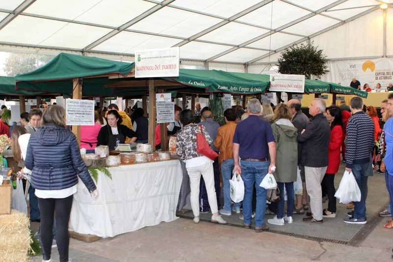 certamen-quesos-cangas