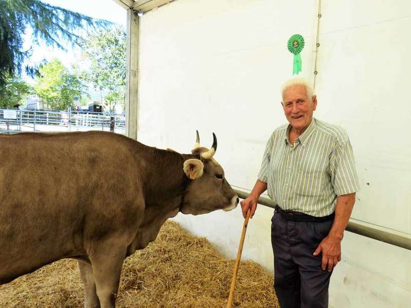concurso-ganados-santa-teresa