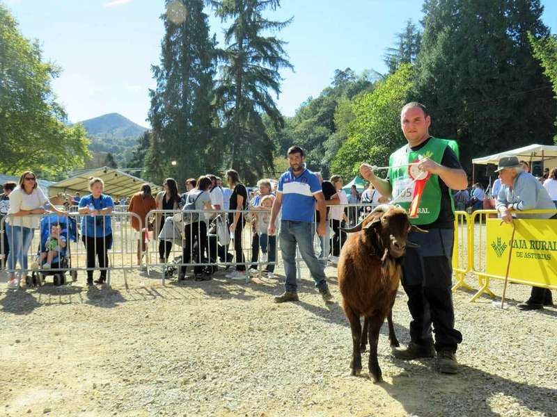 concurso-ganados-infiesto-santa-teresa