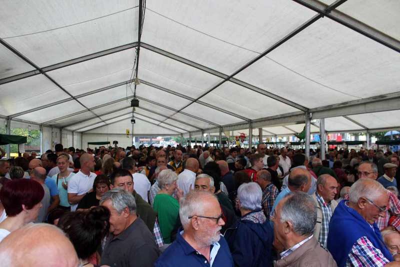 sidra-casera-piloña