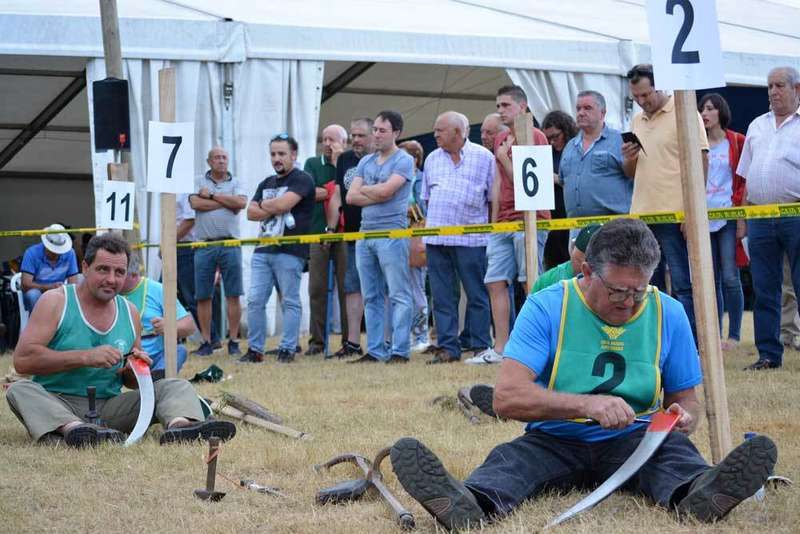 cabru&ntilde;ando-guada&ntilde;a
