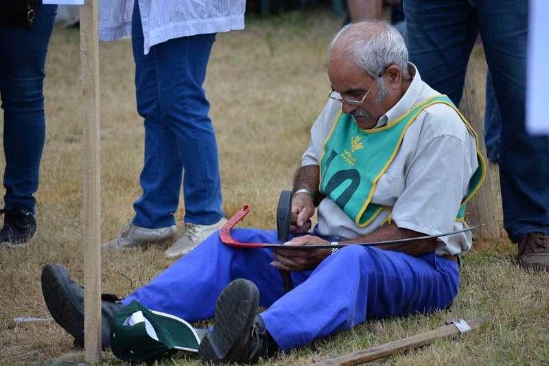 concurso-siega-santa-marina