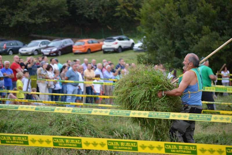 concurso-siega-santa-marina