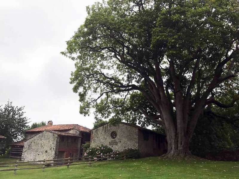 curso-uned-museo-porrua