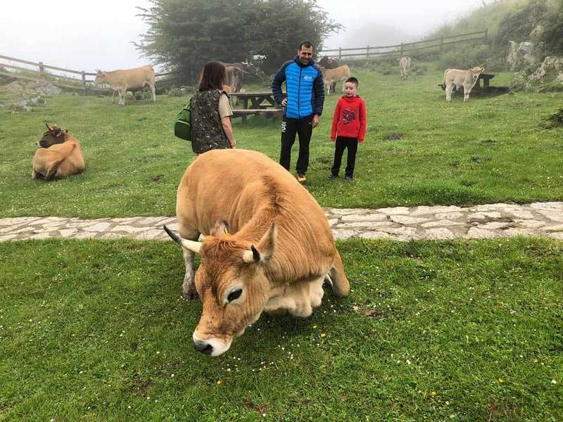 daniel-jabones-leucemia-lagos-covadonga