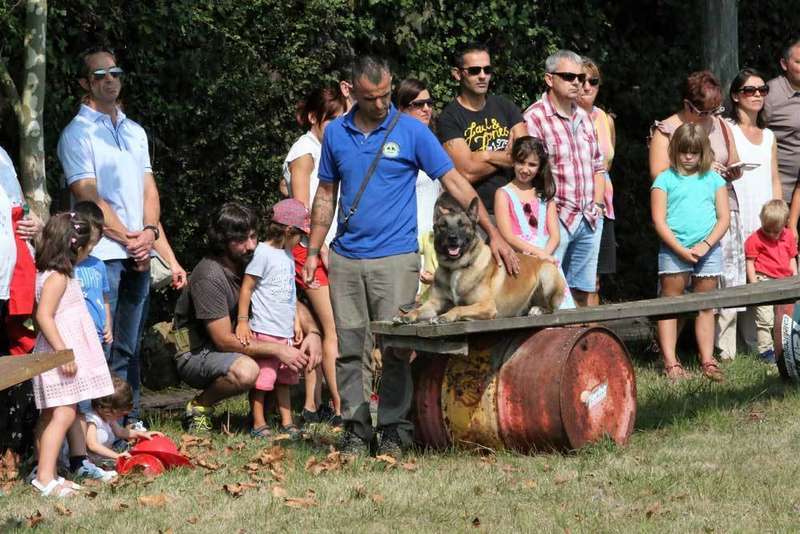 sepa-d&iacute;a-de-asturias-llanera