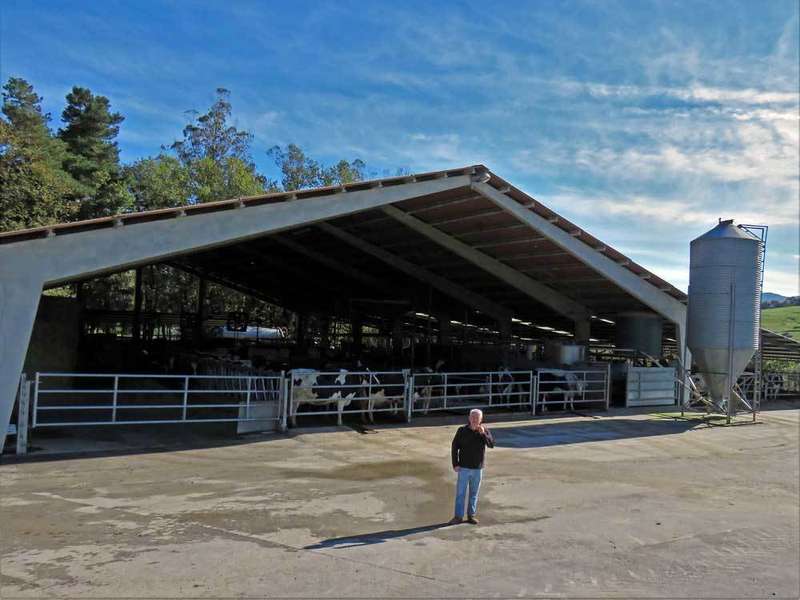 granja-raza-frisona-parres