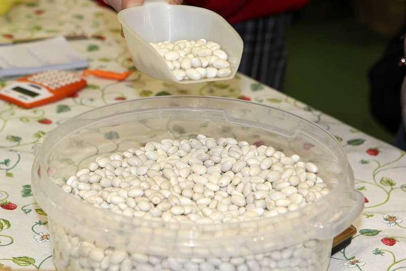 fabes-gloria-colunga