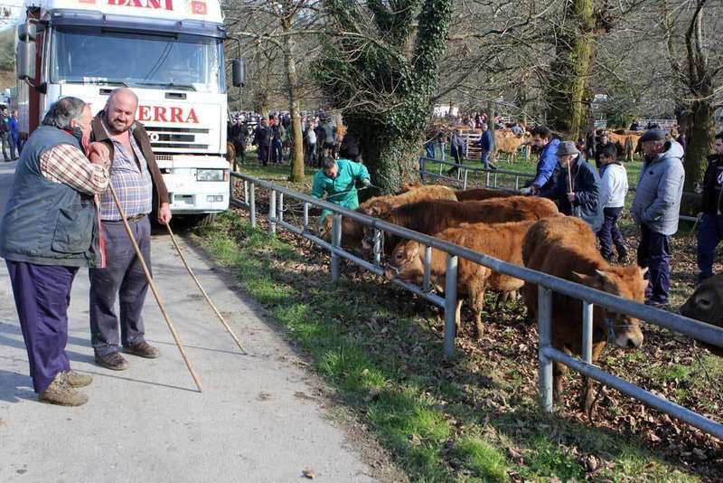 feria-corao-ganaderos