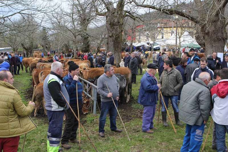 feria-corao-ganaderos