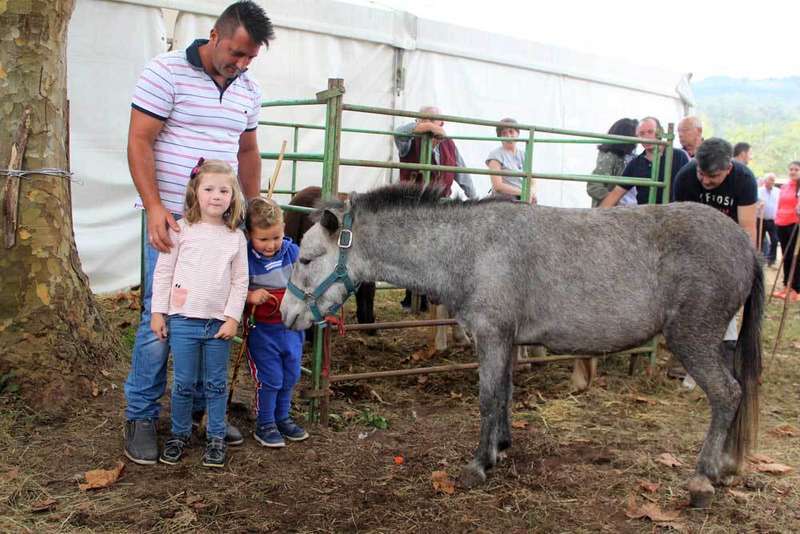 feria-santa-teresa-infiesto