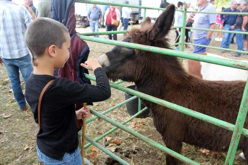 feria-santa-teresa-infiesto