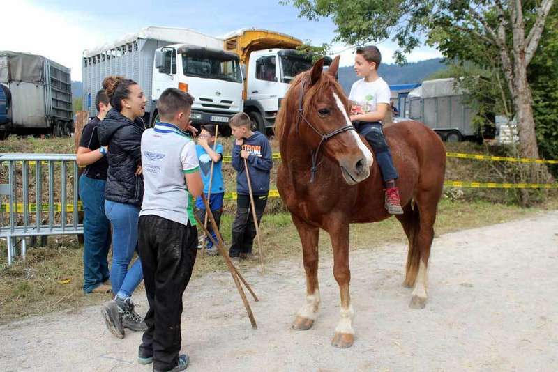 feria-santa-teresa-infiesto