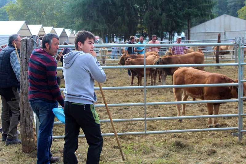 feria-santa-teresa-infiesto