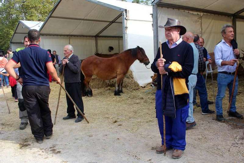feria-santa-teresa-infiesto