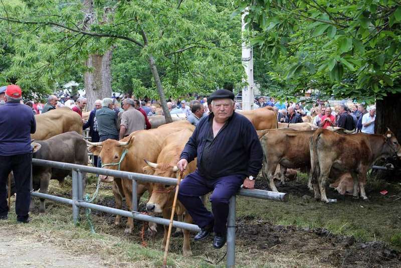 feria-ganadera-corao