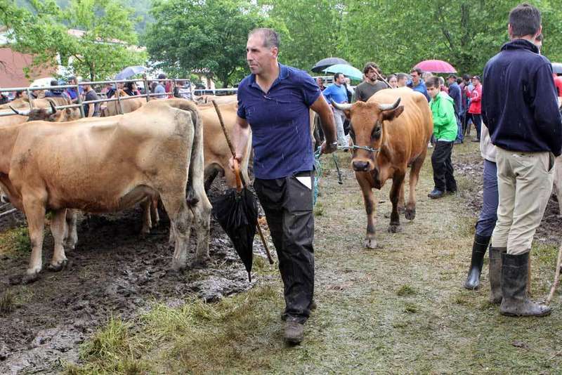 feriona-corao-cangas-onis