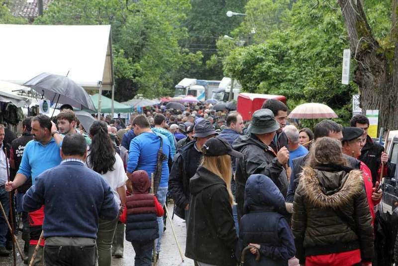 feriona-corao-publico