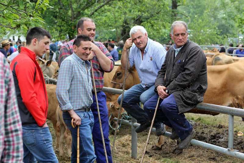 feriona-corao-ganaderos