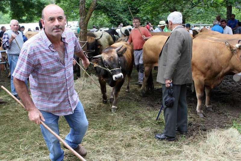 feria-ganadera-corao-cangas