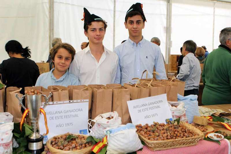 avellanas-pilo&ntilde;a