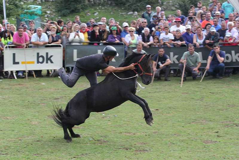 fiesta-asturcon-pilo&ntilde;a
