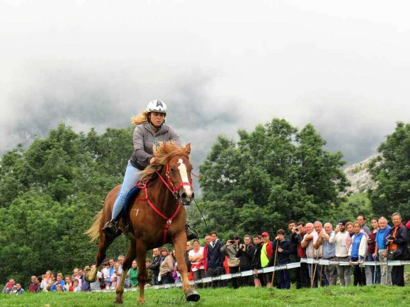 fiesta-pastor-caballos-celia-villarroel