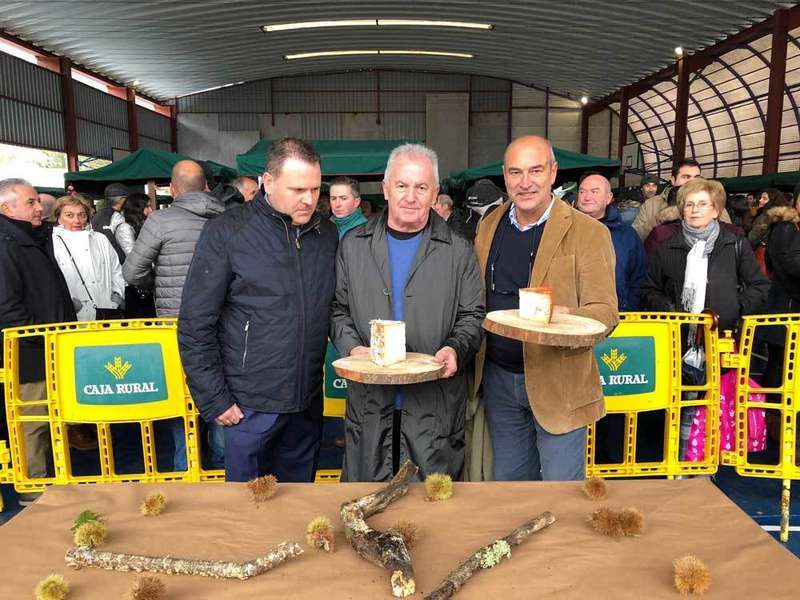 victor-manuel-gamoneu