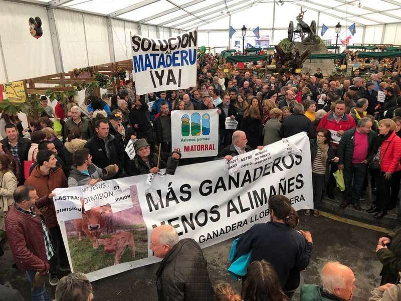ganaderos-manifestacion-arriondas