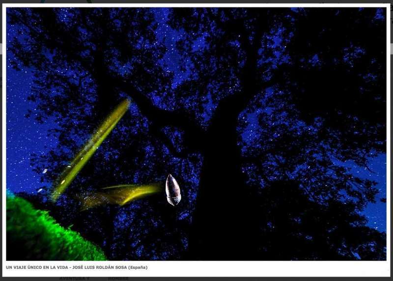 memorial-maria-luisa-pilo&ntilde;a