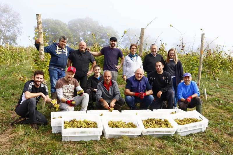 vendimia-palacio-nevares