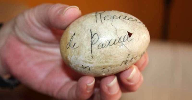 huevu-pintu-pola-siero