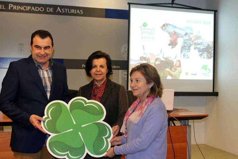 igp-ternera-asturiana