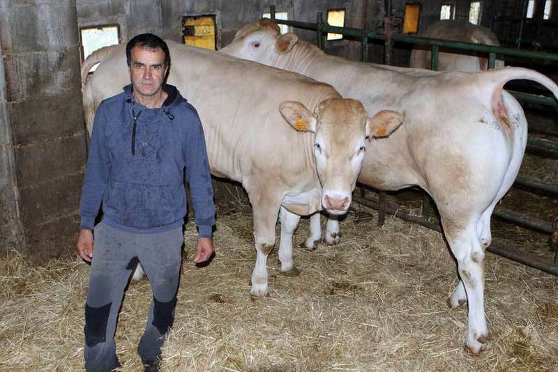 jose-vega-blonde-de-aquitania-parres