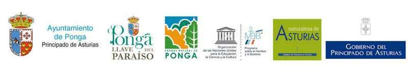 ponga-reserva-biosfera