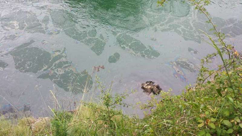 gasoil-rio-cares-niserias