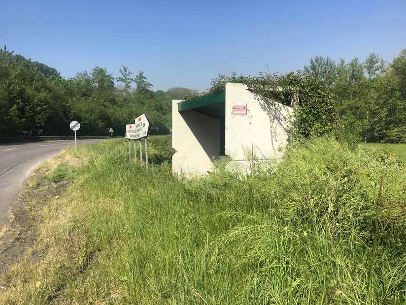 marquesina-matorral-carretera-cangas-panes