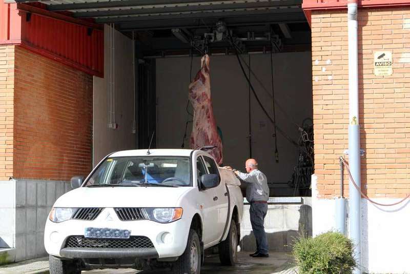 matadero-comarcal-canales