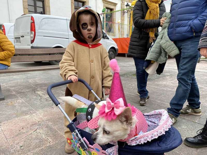 carnaval-mascotas-cangas-2020-13