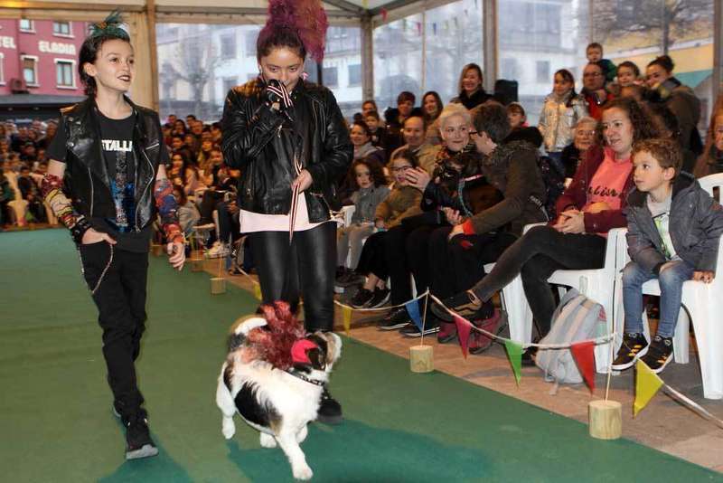 carnaval-mascotas-cangas-2020-14