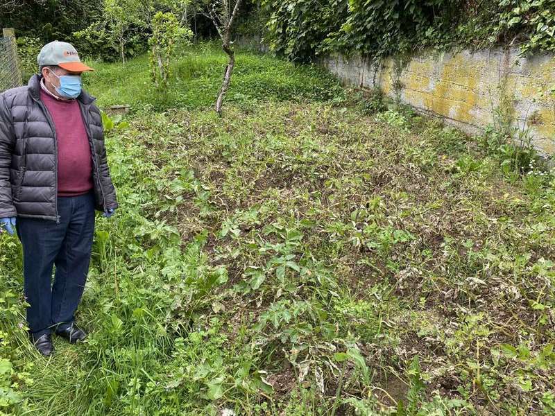 pedro-amieva-huertu-arriondas-04