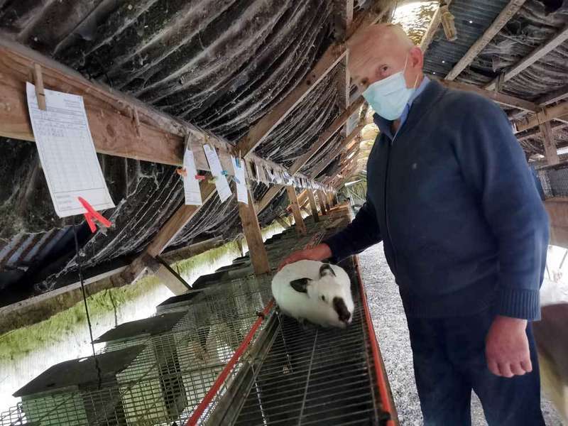 granja-conejos-villaviciosa-02