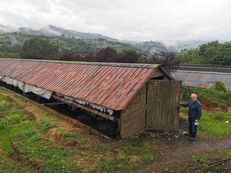 granja-conejos-villaviciosa-03